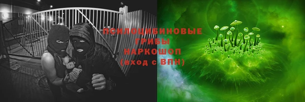мет Протвино