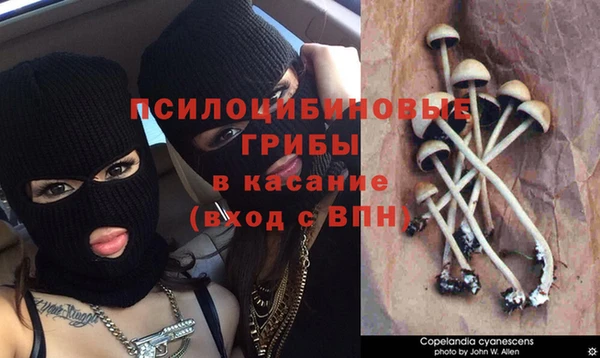 тгк Арсеньев