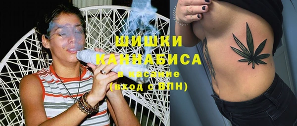 тгк Арсеньев