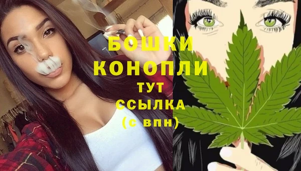 тгк Арсеньев